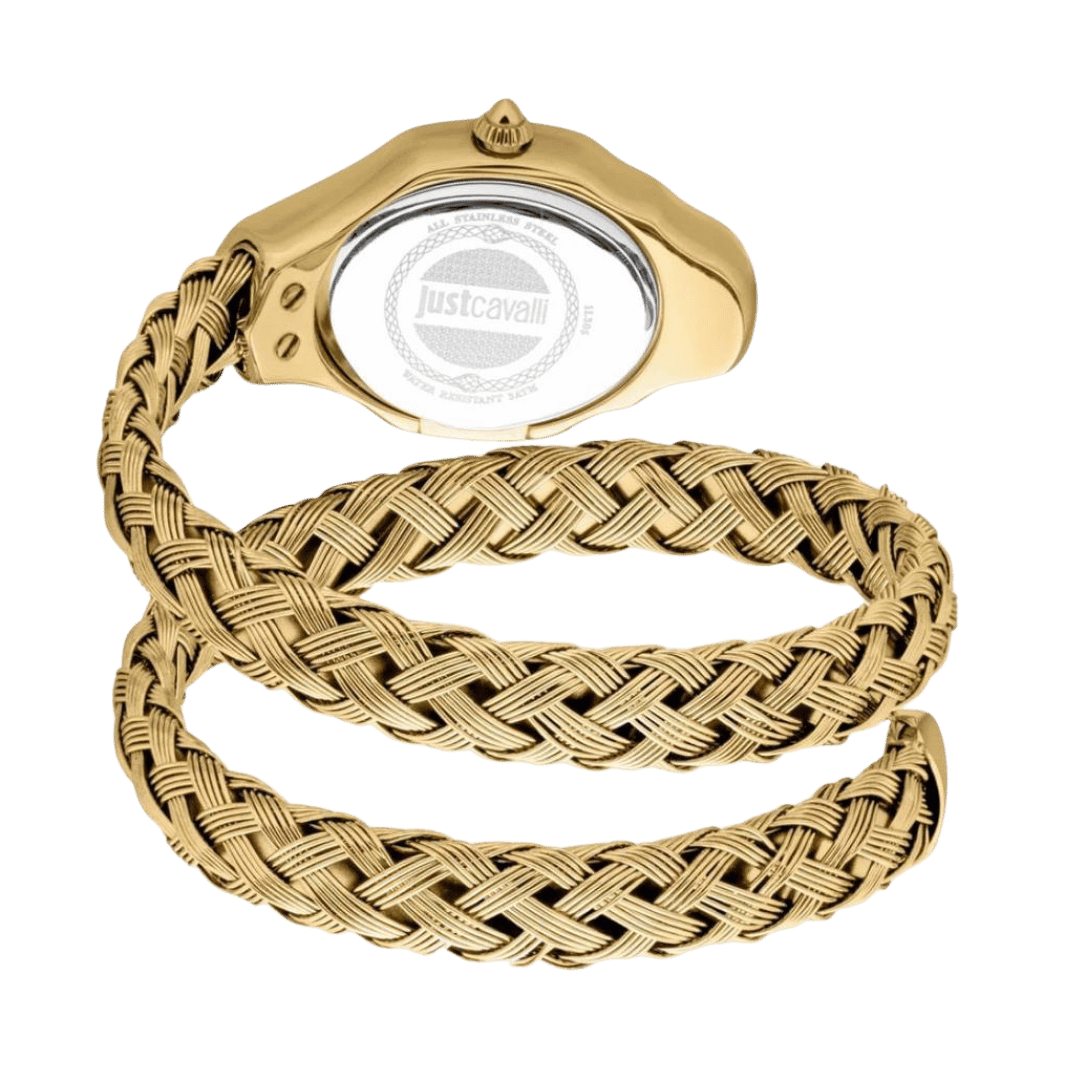 Original Just Cavalli Watch Twined for Women JC1L305M0025-22mm-2